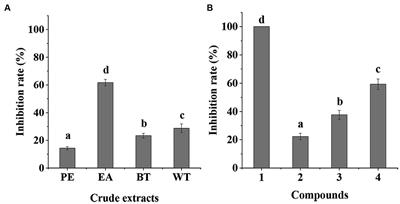 Bioassay-guided isolation of three new alkaloids from Suillus bovinus and preliminary mechanism against ginseng root rot
